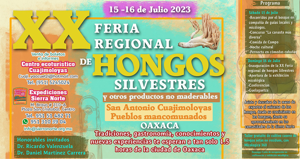 HONGOS MEDICINALES Y TU SALUD